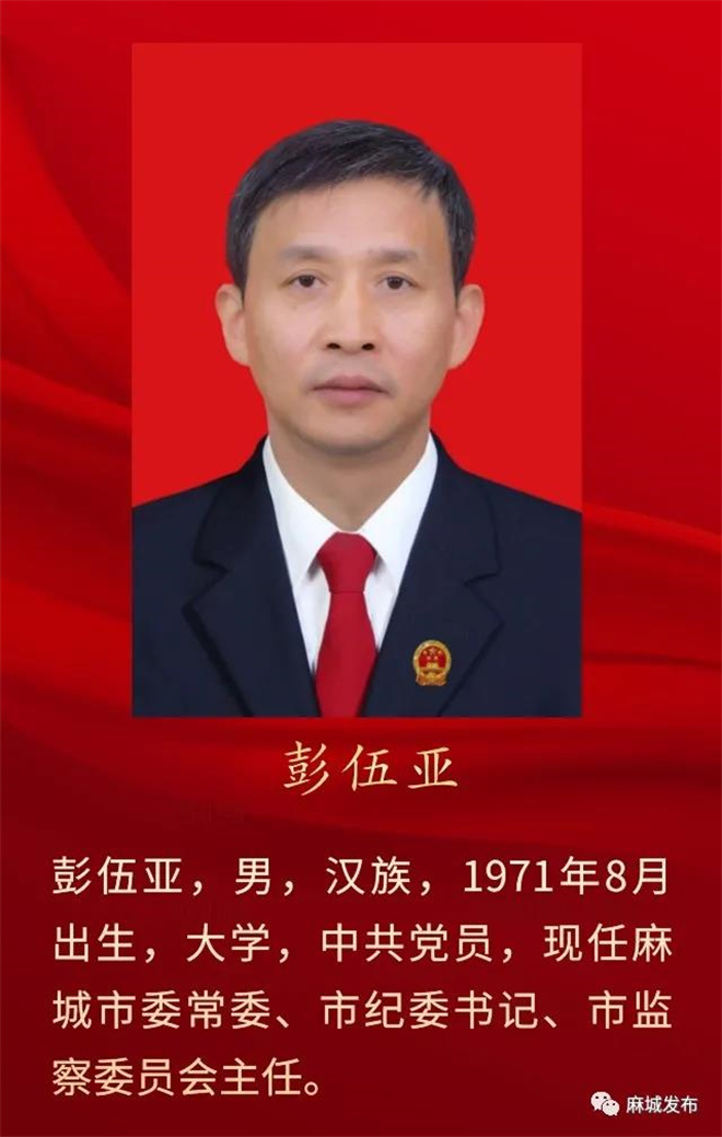 聚焦两会新当选的麻城市监察委员会主任市人民法院院长市人民检察院