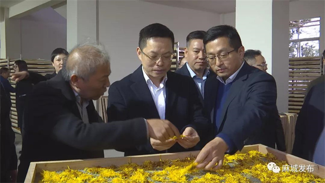宜昌2.jpg