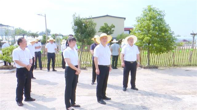 02.jpg