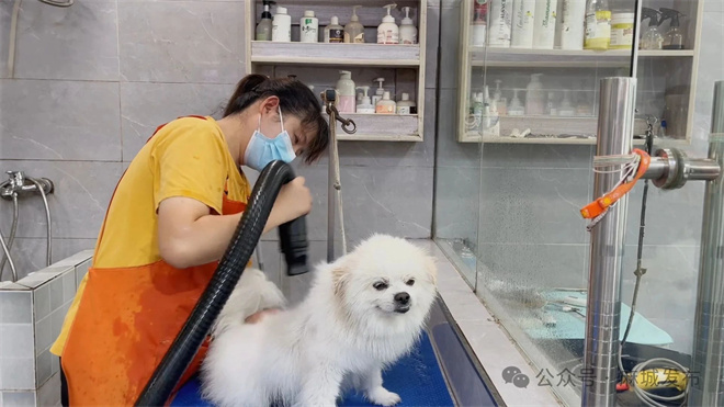 微信图片_2025-08-18_091105_740.jpg
