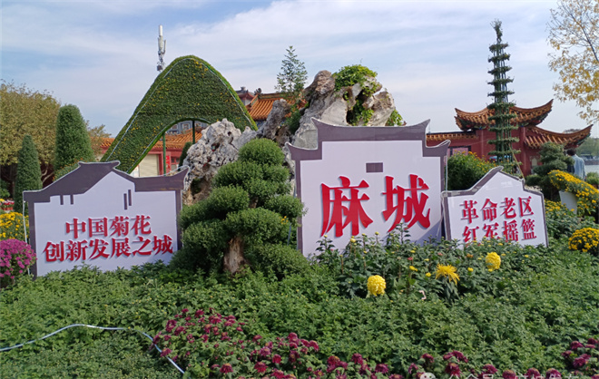 1761094529226964.jpg 1.jpg