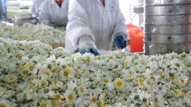 1761116956394576.jpg 3.jpg