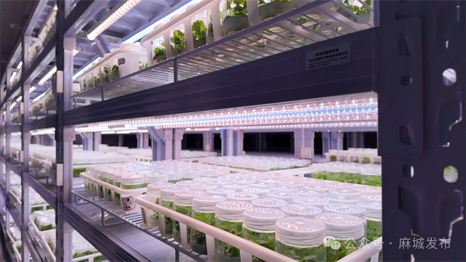 1761116961737208.jpg 1.jpg