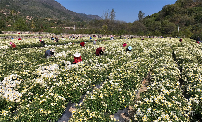 1761527726707505.jpg 微信图片_2025-10-27_091434_910.jpg